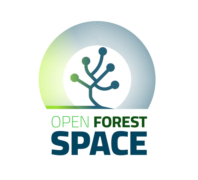 LOGO OPEN FOREST SPACE