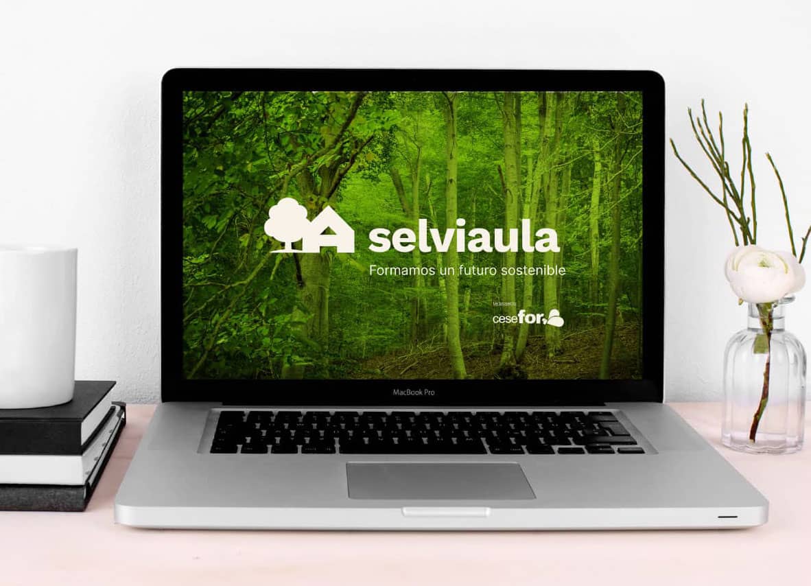 selviaula