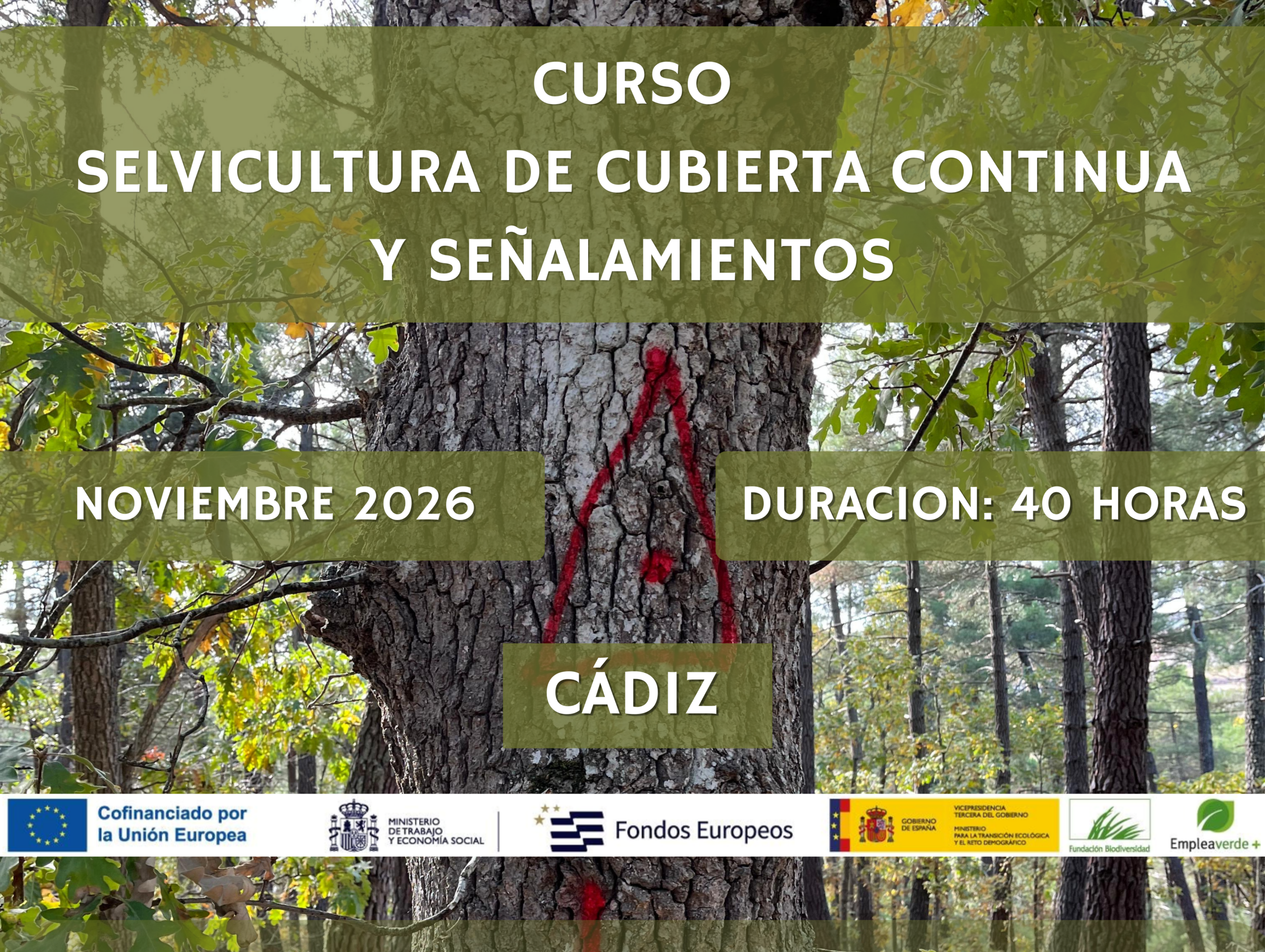 CURSO DE SELVICULTURA DE CUBIERTA CONTINUA Y SEÑALAMIENTOS- Cádiz