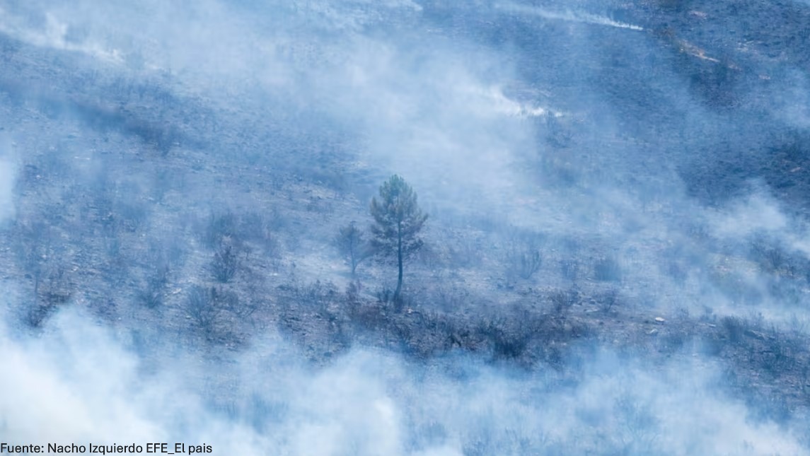 https://elpais.com/espana/2026-07-22/el-incendio-forestal-de-guadalajara-en-imagenes.html