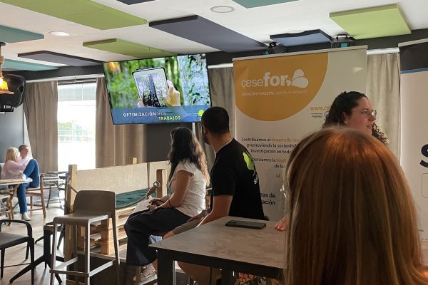 Selviaula forestardeo