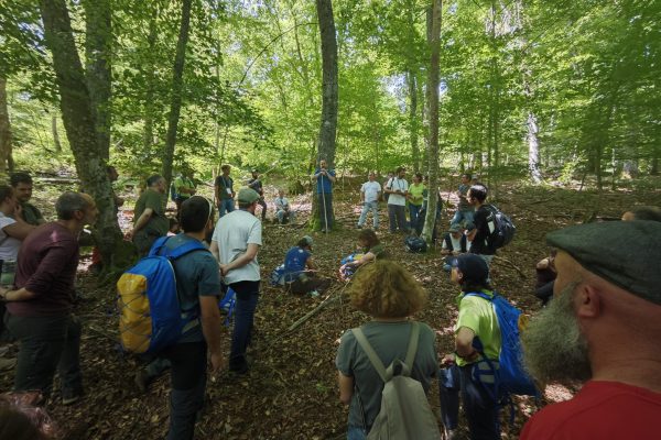 WhatsApp Image 2025-06-20 at 12.02.25