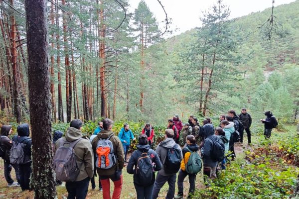 WhatsApp Image 2025-11-18 at 14.19.53